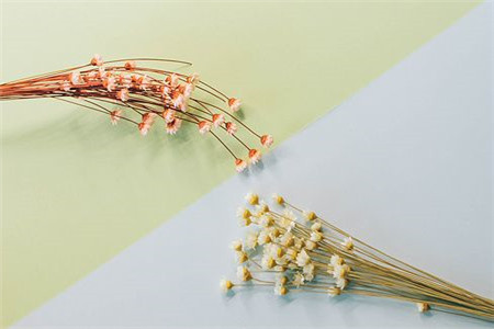 黑龙江自考学历国家承认吗?